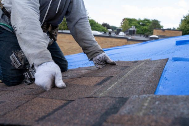 Best Solar Panel Roofing Installation  in Punxsutawney, PA